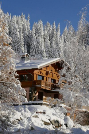 Les Saisies côté Bisanne appartement dans chalet LE Népal